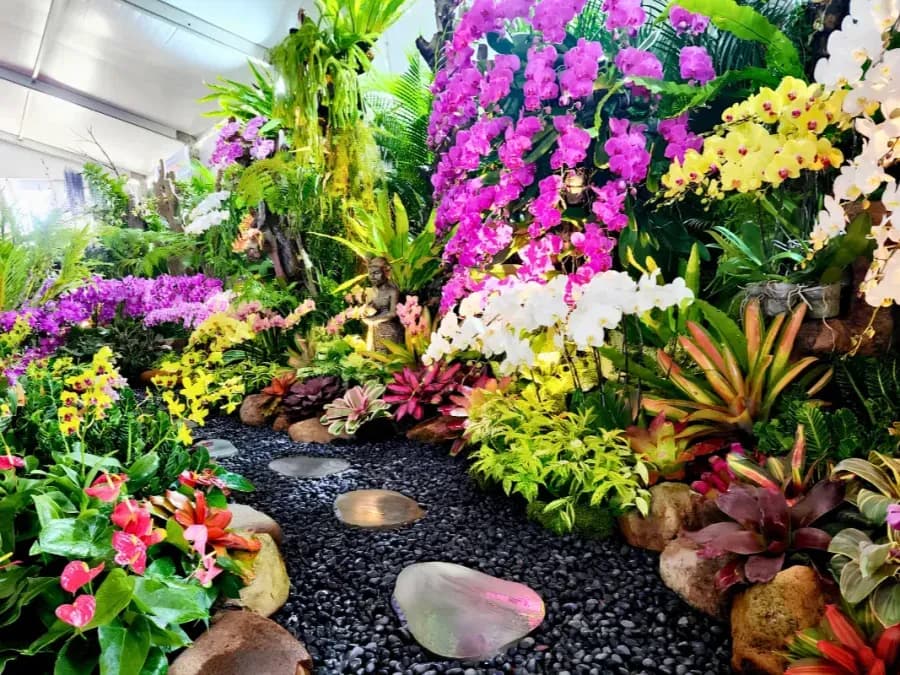 Pameran Anggrek